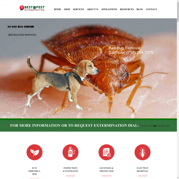 Best Pest Control Extermination Services Company NYC