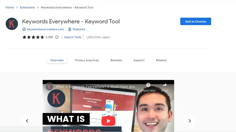 keyword everywhere tool